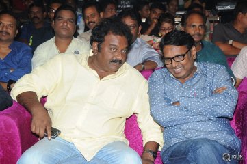 Hora Hori Movie Audio Launch